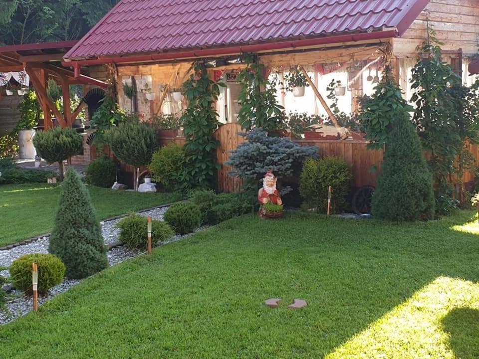 Pensiunea Gianina Arieşeni 外观 照片
